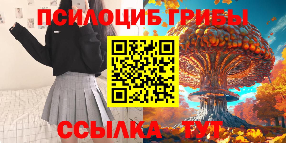 Солнечногорск  Галлюциногенные грибы Psilocybe  Вход с VPN 