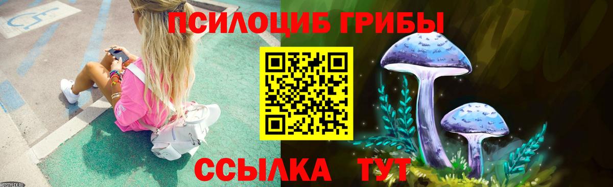 Псилоцибиновые грибы Psilocybe Солнечногорск